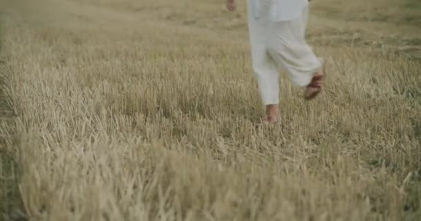 年轻女子在干枯的草地上漫步的慢镜头 — 图库视频影像