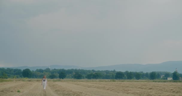 金发碧眼的年轻女子在田野里漫步 背对着天空 动作缓慢 — 图库视频影像