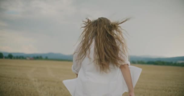Vue Arrière Ralenti Femme Aux Cheveux Blonds Promenant Dans Champ — Video