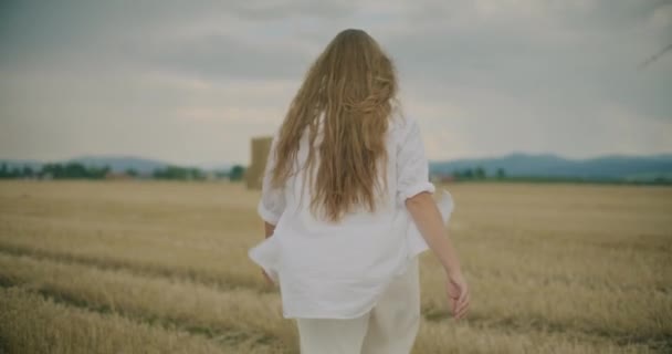 Vue Arrière Ralenti Femme Aux Longs Cheveux Blonds Marchant Dans — Video