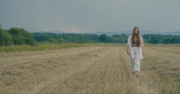 迷人的女人在草地上的草地上与天空擦肩而过的慢镜头 — 图库视频影像