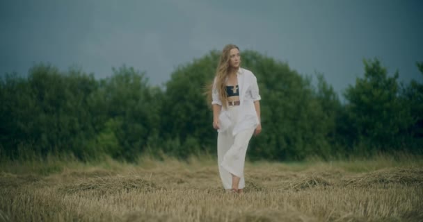 Lenta Toma Cámara Hermosa Mujer Joven Caminando Sobre Hierba Pradera — Vídeo de stock