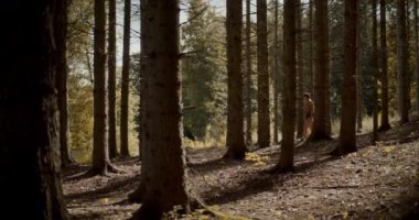 Yaz tatili boyunca ağaçların arasında yürüyen genç bir kadın.