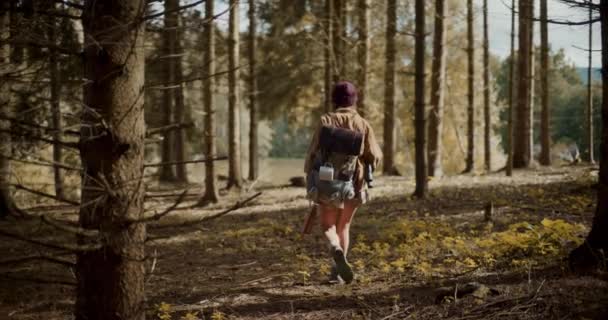 Ung Kvinna Med Ryggsäck Utforska Mitt Träd Skogen Semestern — Stockvideo