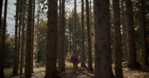 Turista Femminile Godendo Mentre Cammina Nella Foresta Durante Vacanze Estate — Video Stock
