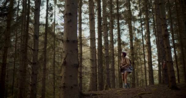 在森林探险时 年轻的女探险家通过双筒望远镜在树间搜寻 — 图库视频影像