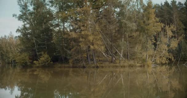 Scène Tranquille Grands Arbres Avec Réflexion Dans Lac Contre Ciel — Video