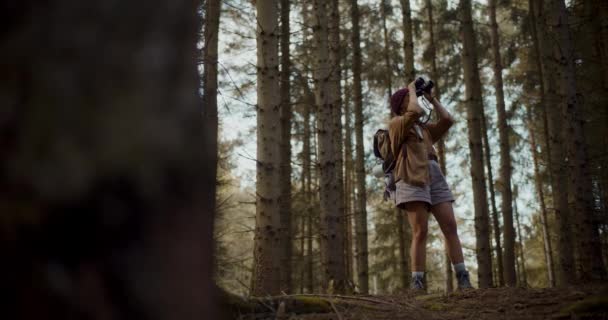 年轻女子站在森林里 背着背包 用双筒望远镜在树间搜寻 — 图库视频影像
