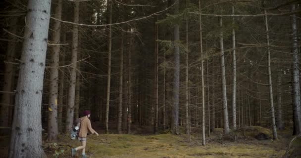 Vedere Laterală Tânărului Explorator Feminin Rucsacul Mers Jos Copaci Pădure — Videoclip de stoc