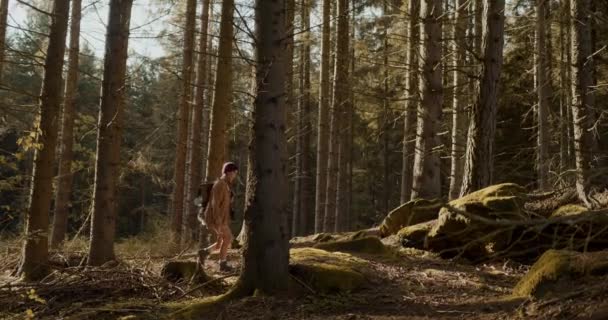 Jeune Exploratrice Insouciante Marchant Près Des Rochers Forêt Pendant Les — Video