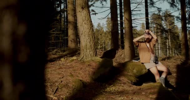 Γυναίκα Εξερευνητής Gesturing Ενώ Κάθεται Βράχο Στο Δάσος Κατά Διάρκεια — Αρχείο Βίντεο