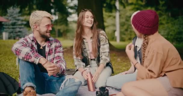 Mujer Feliz Hablando Con Amigos Durante Picnic Parque Bosque — Vídeo de stock