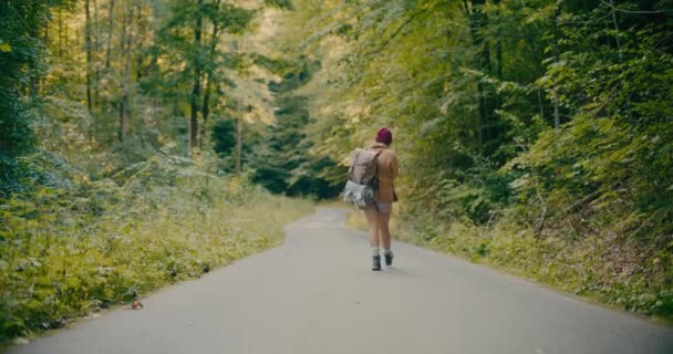 Молодая Туристка Ходит Тропинке Среди Деревьев Лесу — стоковое видео