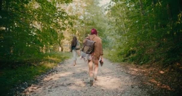 Touristes Explorant Les Bois Tout Marchant Milieu Des Arbres Sur — Video