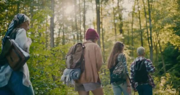 Touristes Masculins Féminins Avec Sacs Dos Marchant Tout Explorant Forêt — Video