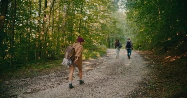Νεαρή Γυναίκα Περπατά Στο Μονοπάτι Φίλους Ανάμεσα Δέντρα Στο Δάσος — Αρχείο Βίντεο