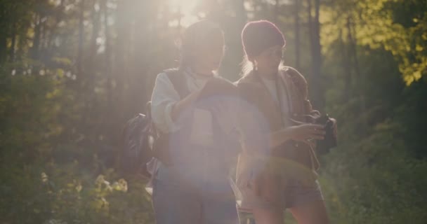 Jóvenes Excursionistas Explorando Bosque Unas Con Otras Durante Día Soleado — Vídeos de Stock