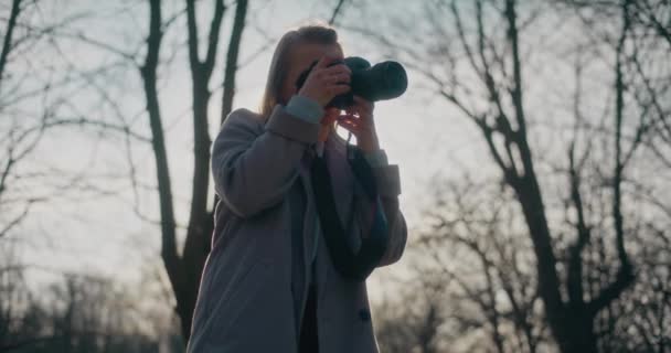 Mujer Joven Rubia Fotografiando Través Cámara Parque Durante Día Soleado — Vídeos de Stock