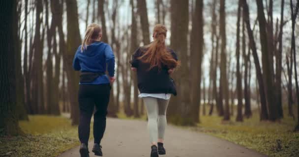 Rückansicht Junge Sportlerin Joggt Mit Freundin Auf Straße Park — Stockvideo