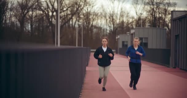 Toegewijde Jonge Vrouwelijke Atleten Hardlopen Sportveld Voor Training Het Park — Stockvideo
