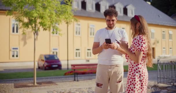 休日の間に公園に立っている間携帯電話を使用してHeterosexualカップル — ストック動画