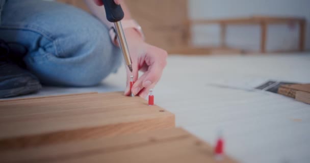自宅で家具を作っている間木製のプランクの修理女性のフィッティングねじの手 — ストック動画