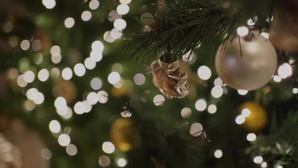 Decoraciones Navideñas Brillantes Alegres Listas Para Llevar Espíritu Navideño Hogar — Vídeo de stock