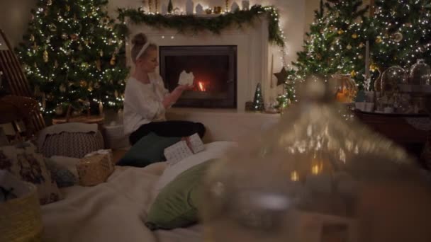 Parlak Neşeli Noel Süslemeleri Noel Ruhunu Evinize Veya Etkinliğinize Getirmeye — Stok video