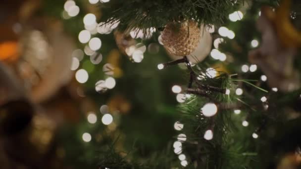 Яскраві Радісні Різдвяні Прикраси Готові Принести Святковий Дух Ваш Будинок — стокове відео