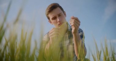 Çiftlik hayvanları çiftliğindeki domuzlardan oluşan domuz yavrularının manzarası.