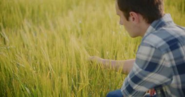 Çiftlik hayvanları çiftliğindeki domuzlardan oluşan domuz yavrularının manzarası.