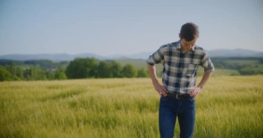 Çiftlik hayvanları çiftliğindeki domuzlardan oluşan domuz yavrularının manzarası.