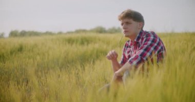 Tarlada çalışan çiftçi, ekin, tarım ve tarım konularını inceliyor. Çiftçi eli yeşil buğday mahsulü tarım endüstrisine dokundu.