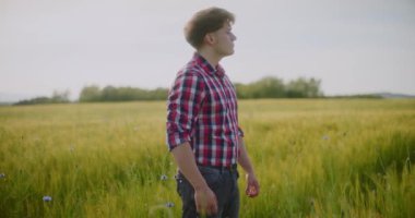 Tarlada çalışan çiftçi, ekin, tarım ve tarım konularını inceliyor. Çiftçi eli yeşil buğday mahsulü tarım endüstrisine dokundu.