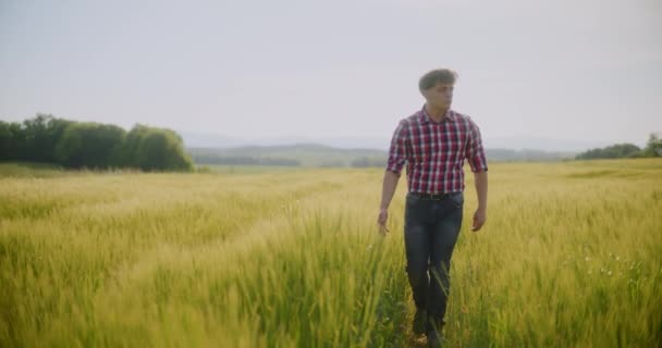 Rolnik Pracujący Terenie Kontroluje Koncepcję Zbiorów Rolnictwie Rolnik Dotyka Zielonej — Wideo stockowe