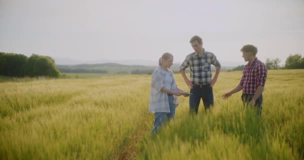 Vista Los Agricultores Que Hablan Examinan Negocio Agricultura Campo — Vídeo de stock