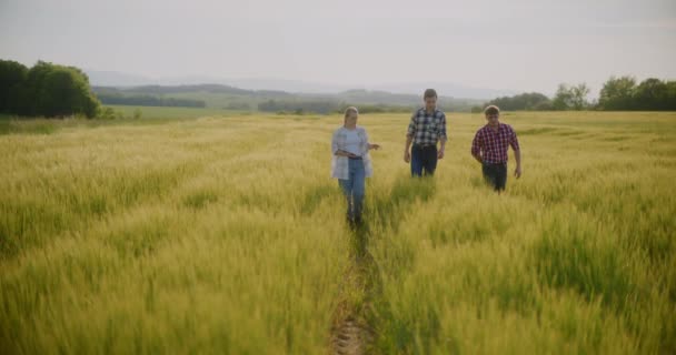 Blick Auf Landwirte Die Über Das Geschäft Mit Der Feldwirtschaft — Stockvideo
