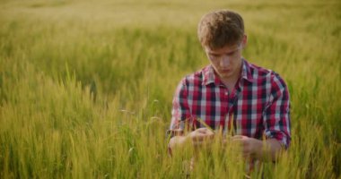 Çiftçinin portresi Buğday Tarlası Tarım Ürünlerini İnceleme