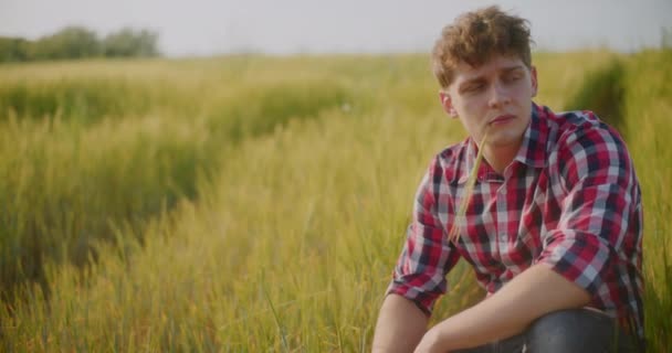 Portrét Zemědělce Zkoumajícího Plodiny Pšeničné Pole Zemědělství Sklizeň — Stock video