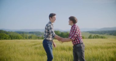 Modern çiftçi hasat öncesi tarla buğdayını inceliyor.