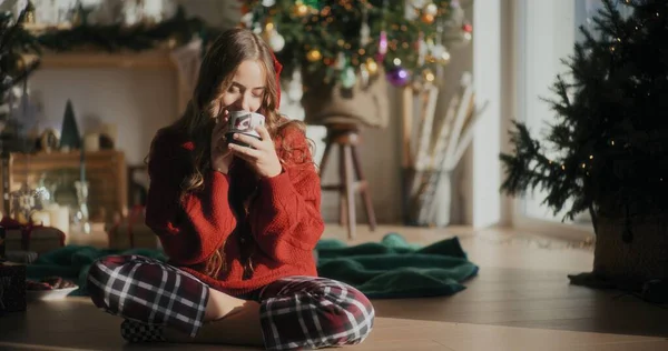 Gülümseyen Pozitif Kadının Noel Noeline Hazırlanan Portresi