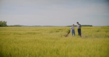 Erkek ve Kadın Çiftçiler Ekinleri Tarımsal Tarım Konsepti Hasatından Önce Tarlada Tarla Tarlalarını İncelerken