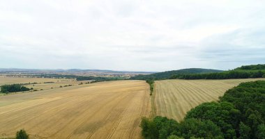 Buğday tarlası drone atışları, tarımsal alanların üzerinde uçmalar