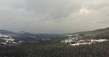 Karla kaplı orman manzarası.