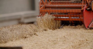 Tarım Alanında Çalışan Birleşmiş Hasatçının Kapanışı