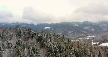 Dağlarda Karla kaplanmış Orman