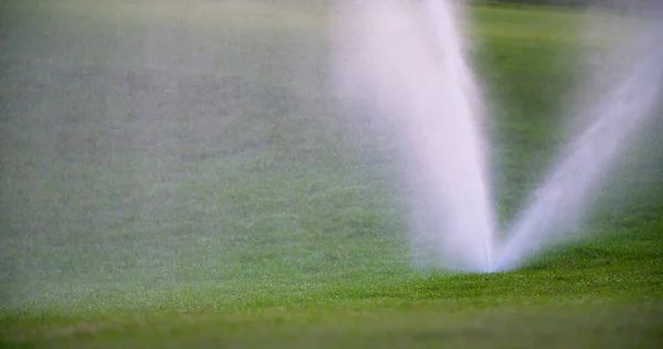 grass sprinkler splashes water over the lawn at the golf course