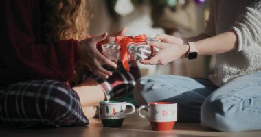 Noel Hediyesi Vermenin Portresi