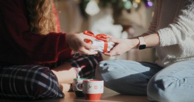 Noel Hediyesi Vermenin Portresi