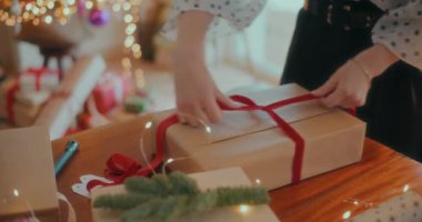 Noel Hediyesi Verilen Noel Tatilleri Görünümü